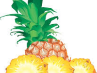 1969 Greenhorn P8b pineapple for HD team