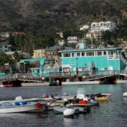 2010-c1a-Catalina-